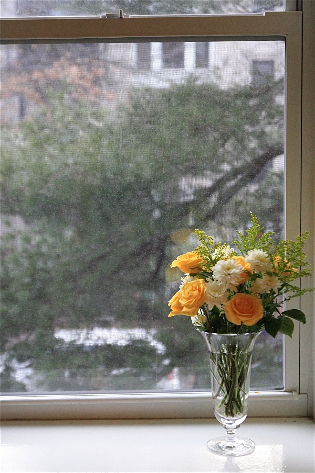 f0155318_4141567.jpg