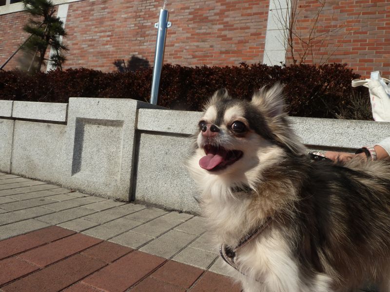 d0046821_1520473.jpg