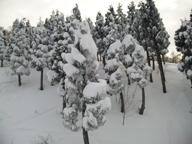 e0253927_0582447.jpg