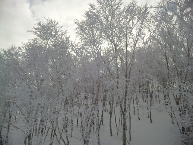 e0253927_102717.jpg