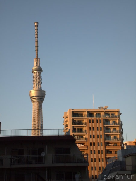 c0133533_2050810.jpg