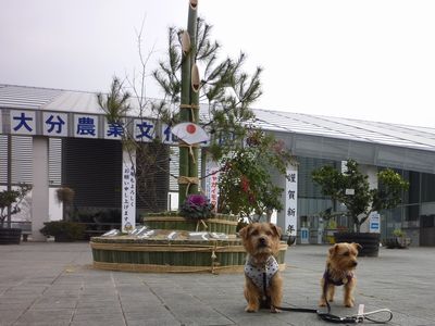 c0211540_2332963.jpg