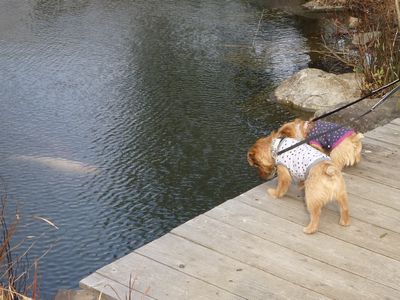 c0211540_2362130.jpg