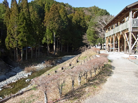 d0164443_021563.jpg