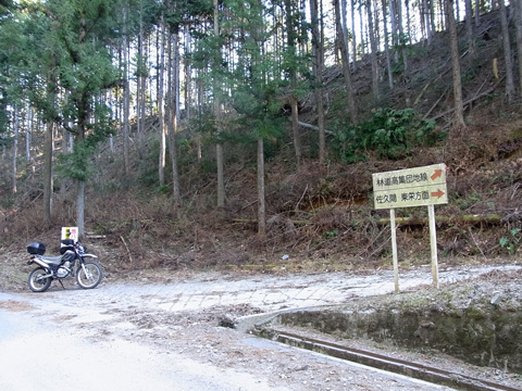d0164443_051346.jpg