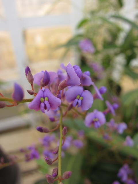 f0220152_1731151.jpg