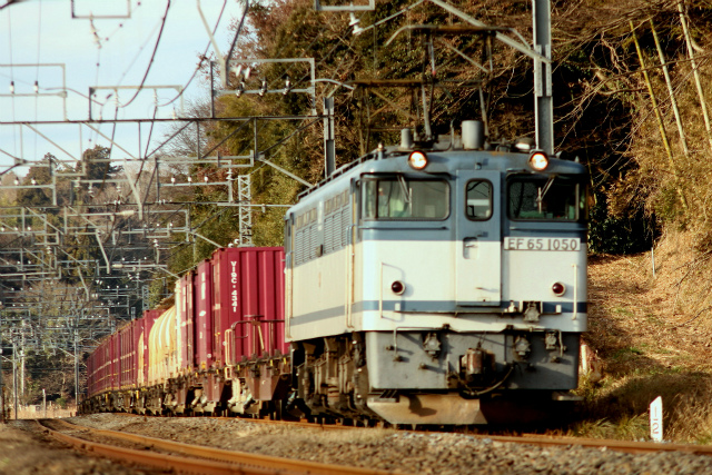 b0002858_15726.jpg