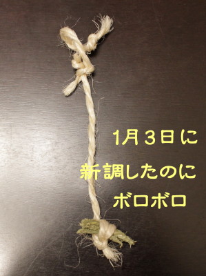 b0158061_20494389.jpg