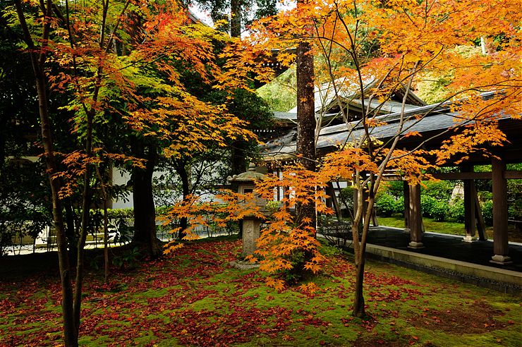 f0222161_19412015.jpg