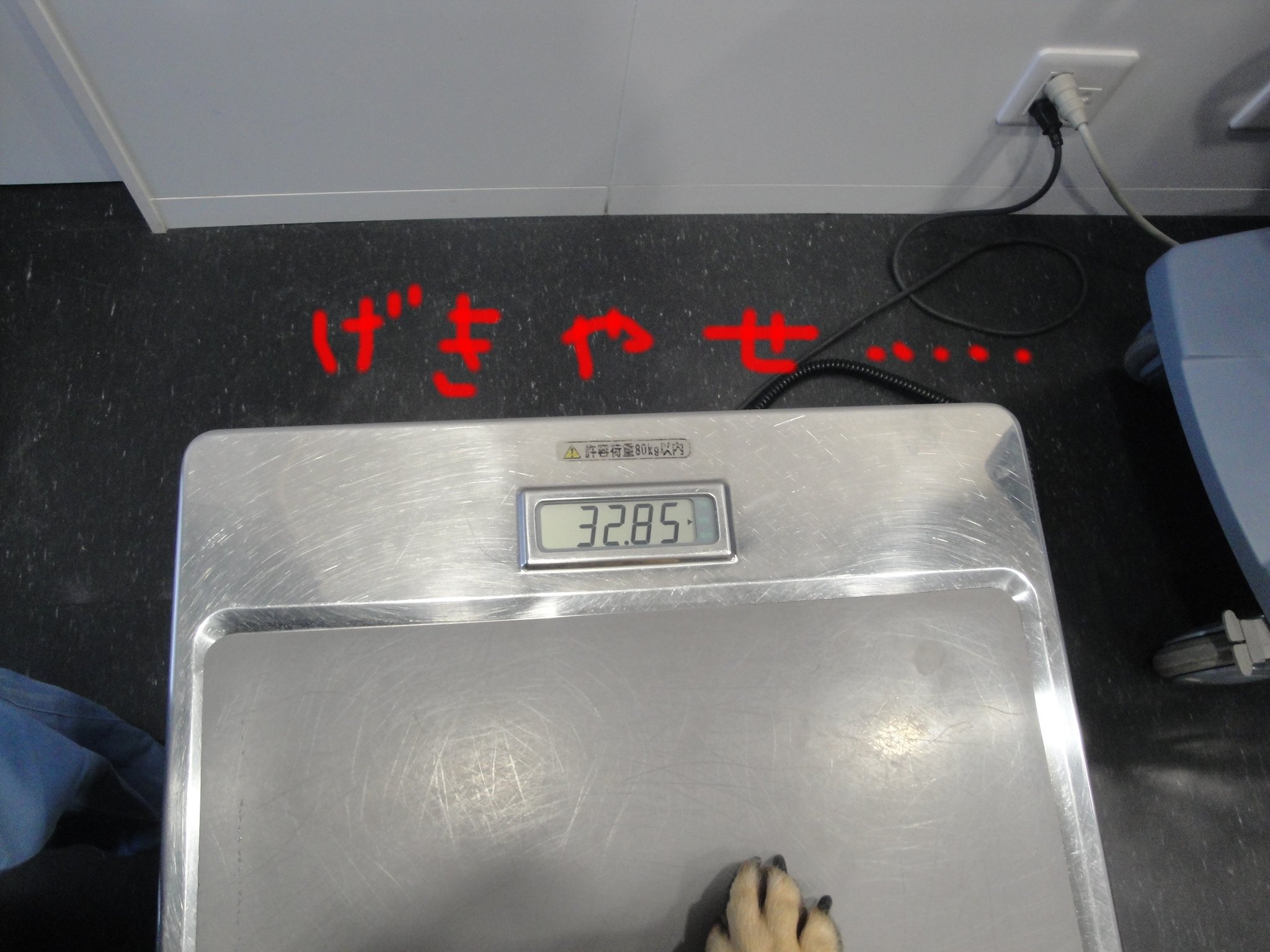 b0113663_917104.jpg