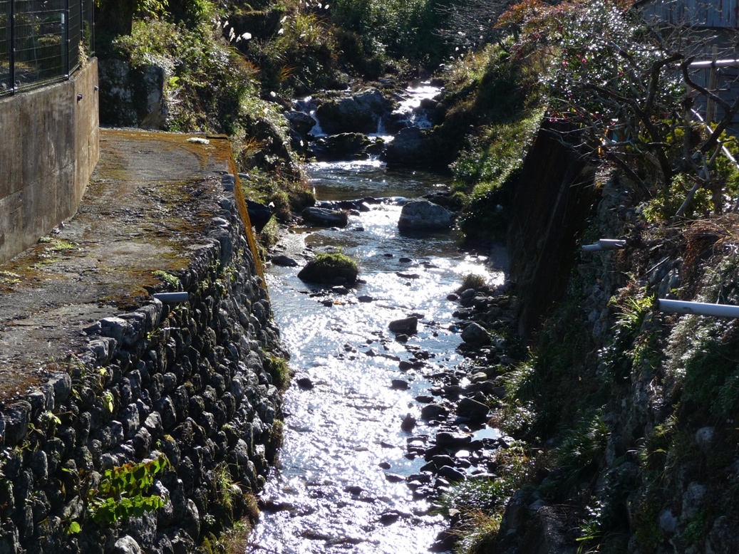 e0165472_0304813.jpg