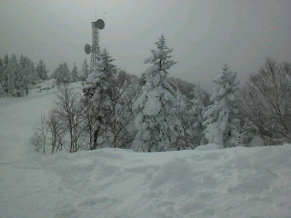 c0096582_11301667.jpg