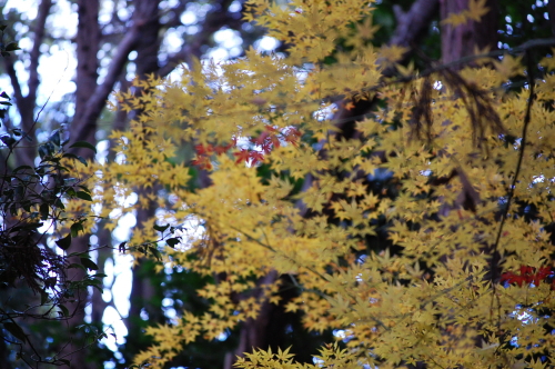 d0179983_1929210.jpg