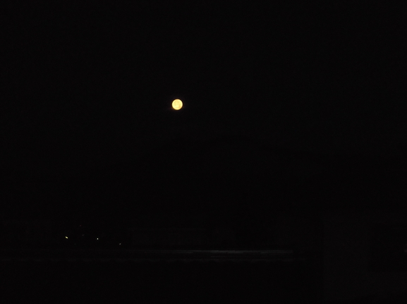 a0130285_23221025.jpg