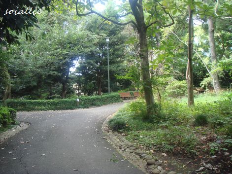 b0166491_542626.jpg