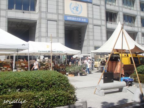 b0166491_555145.jpg