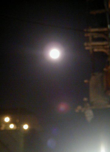 d0053294_0393417.jpg