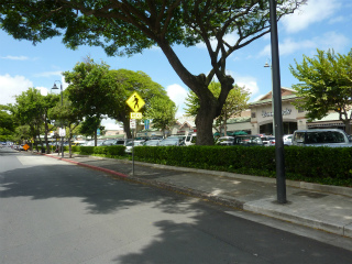 c0077697_22384689.jpg