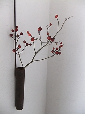 c0151903_1141818.jpg