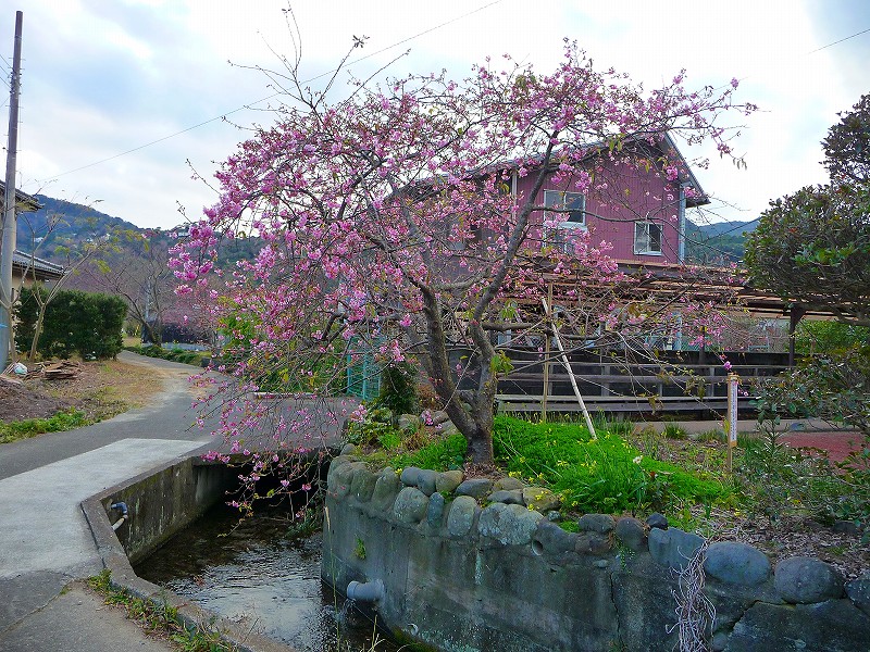 f0182513_091798.jpg