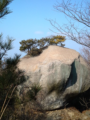 c0146714_8544174.jpg