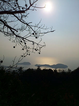 c0146714_8553823.jpg