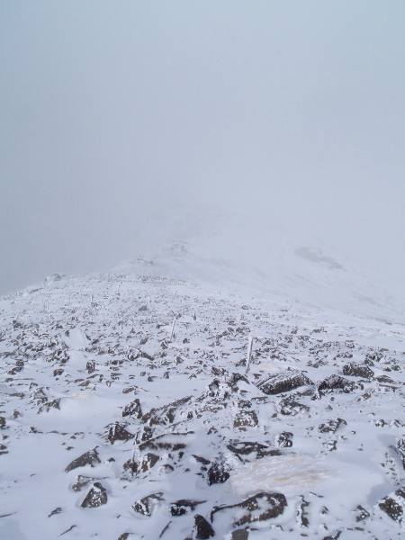 c0177814_1437342.jpg