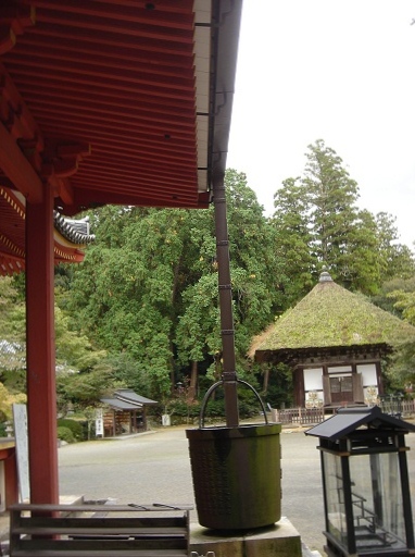 f0000521_8342677.jpg