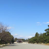 d0033734_145106.jpg