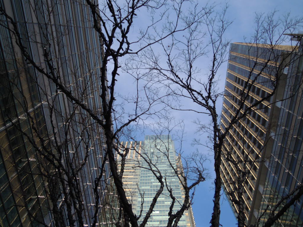 e0081334_044453.jpg