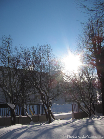 b0006537_2156076.jpg