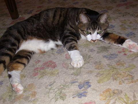 a0250338_20103952.jpg