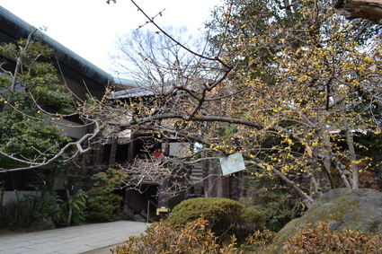 e0228938_2124351.jpg