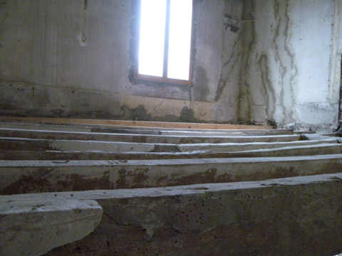 b0069848_711415.jpg