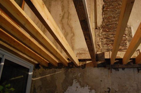b0069848_743581.jpg