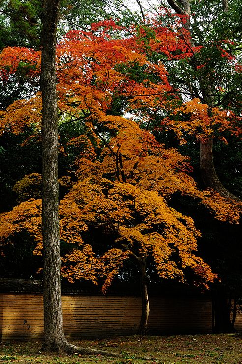 f0222161_1343175.jpg