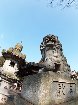 b0180764_23545267.jpg