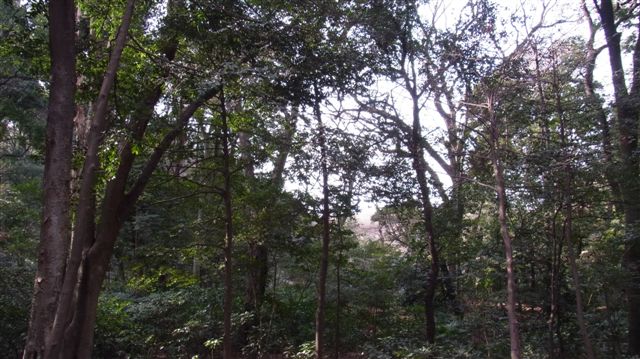 a0123465_0165860.jpg