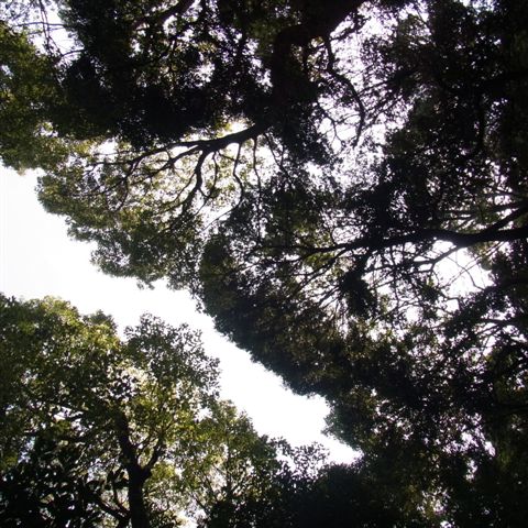 a0123465_0171059.jpg