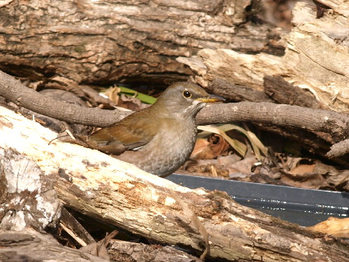 f0208666_16222580.jpg
