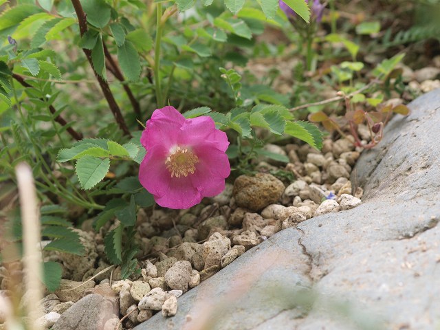d0025568_20511851.jpg