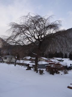d0134473_1714229.jpg