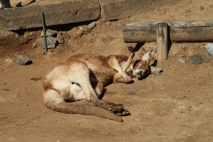 f0115475_18561479.jpg