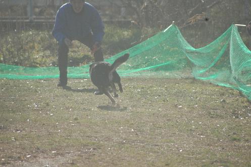 c0123890_11244812.jpg