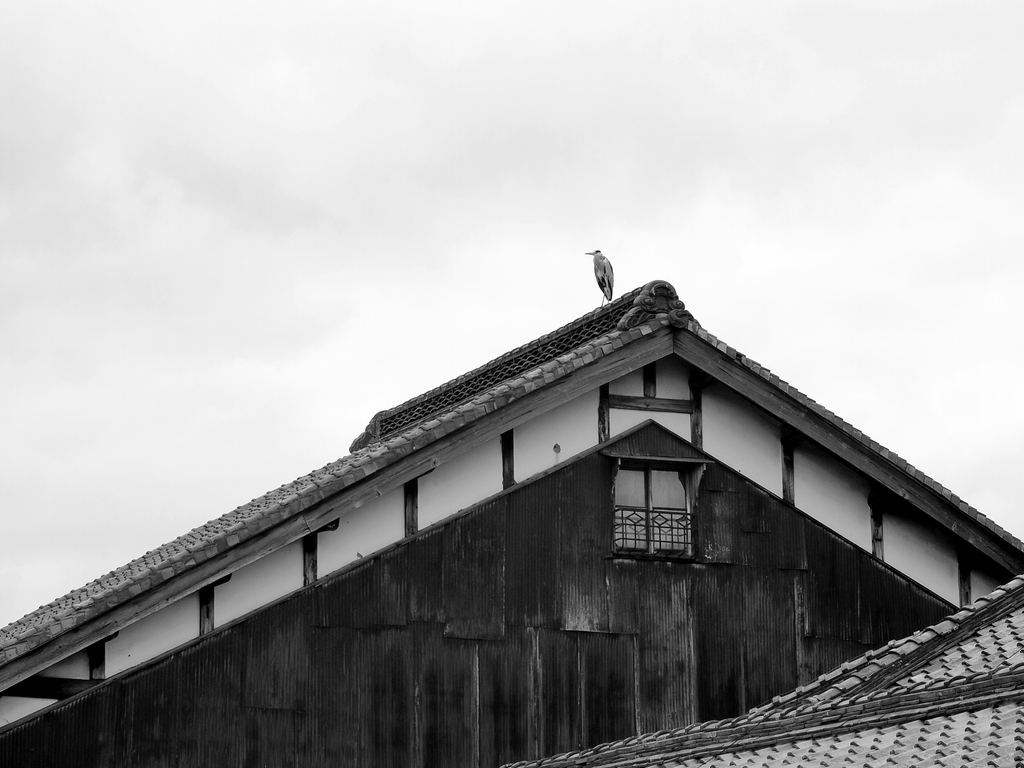 b0138101_16311574.jpg
