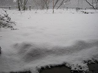 e0119003_10345482.jpg