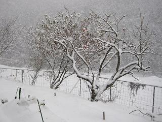 e0119003_1035640.jpg