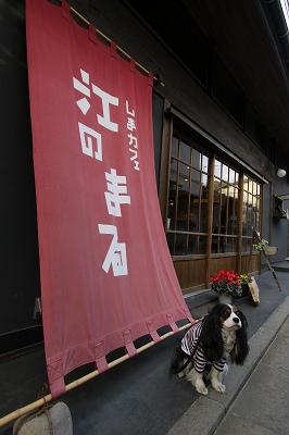 b0072515_1141934.jpg