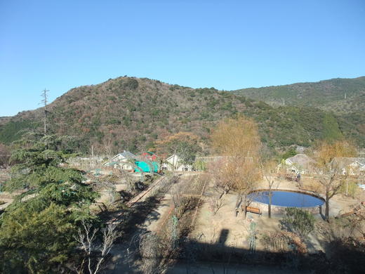 e0135518_14485493.jpg