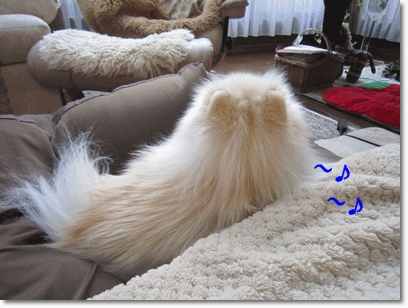 b0167519_13362386.gif